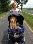 Charlie Searcy Out For A Stroller Ride!!