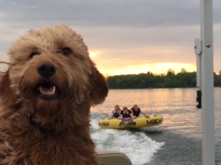 I'm not sure who loves the lake more. The kids or Piper.