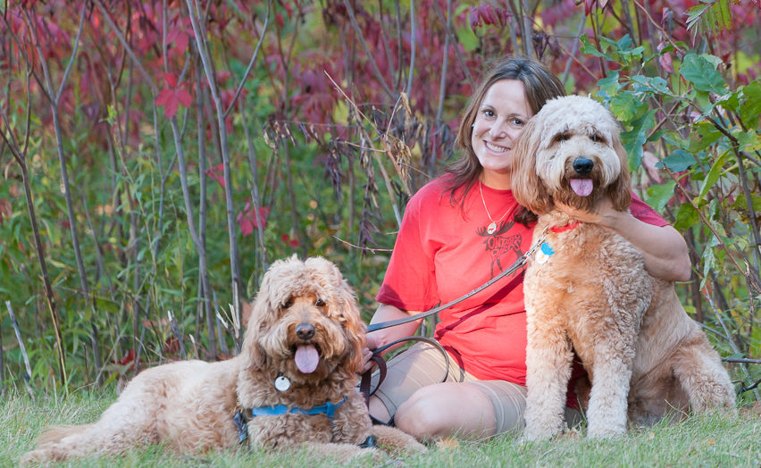 Meet Sequoia, and Luca - Goldendoodles Dog From Red Cedar Farms in Minnesota