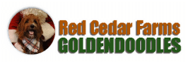 Red Cedar Farms Goldendoodles