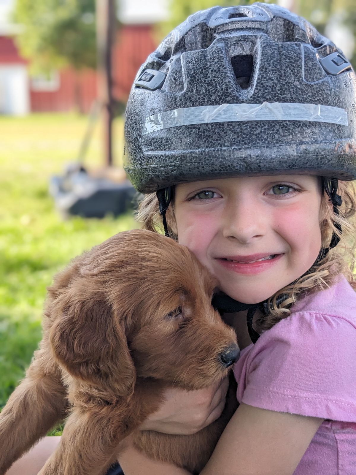 Summer Goldendoodle And Standard Poodle Puppies Now Available!