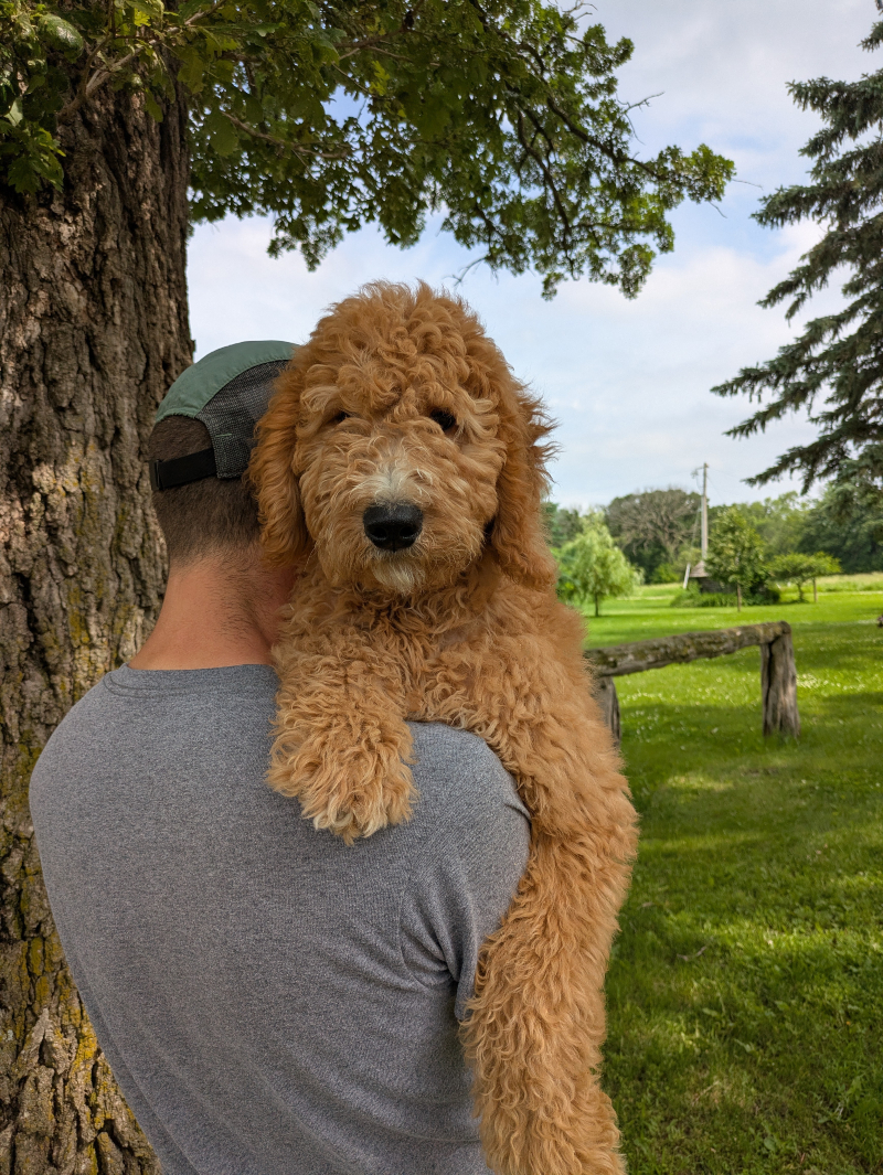 Congratulations To Bentley And His New Family!