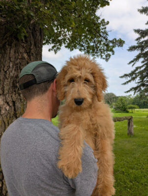 Meet Finn!