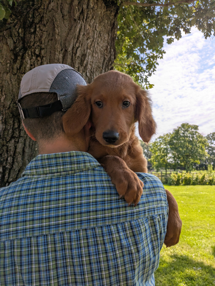 Meet Benjamin!