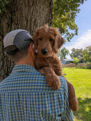 Meet Mick!