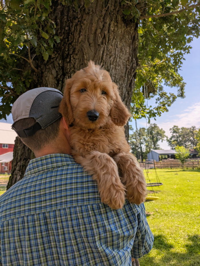Congratulations To Paul & Courtney On The Adoption Of Nutkin!