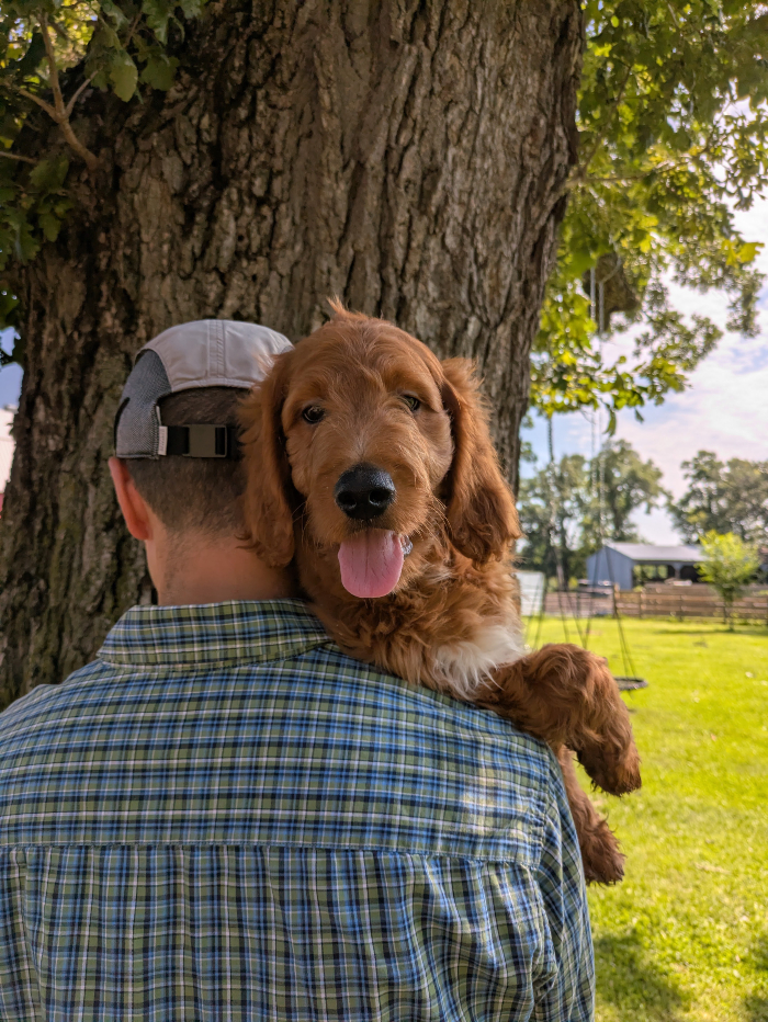 Meet Peter!